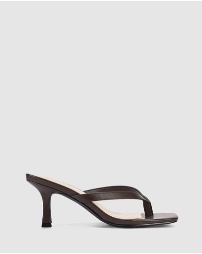 Chocolate Brown