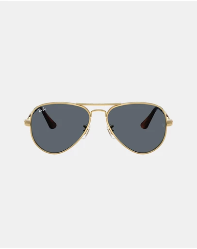 Ray-Ban - Aviator Max