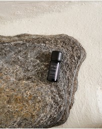 TEMPL - Dream Essential Oil