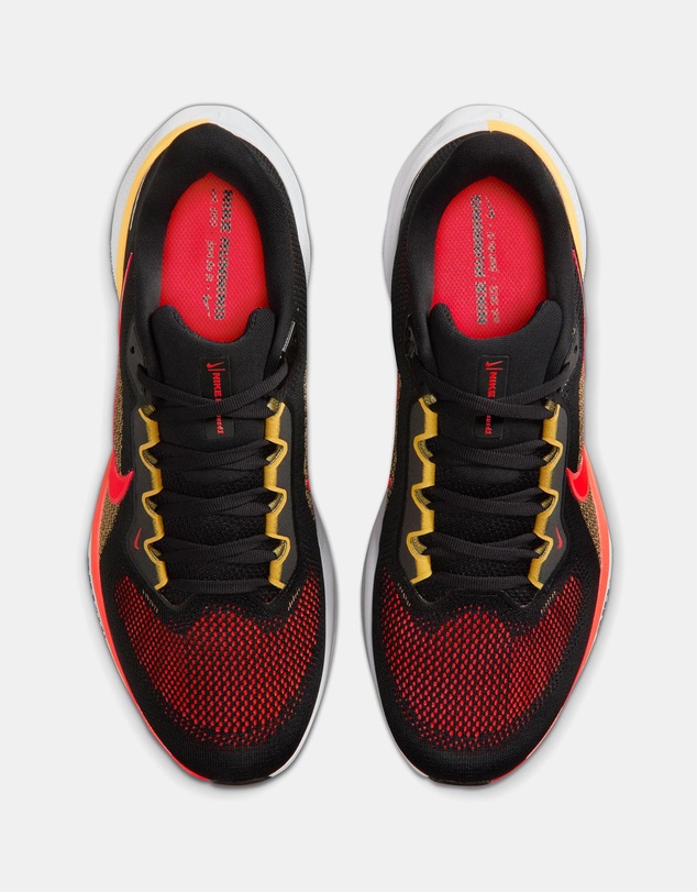 Nike - Pegasus 41 - Men's