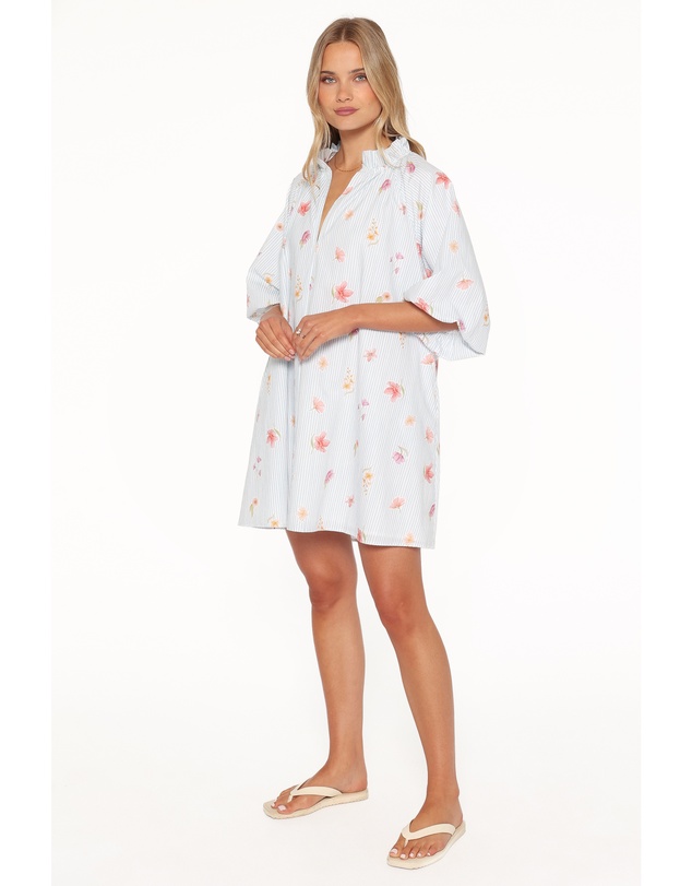 Petal & Pup - Doran Mini Dress - Blue Garden Stripe