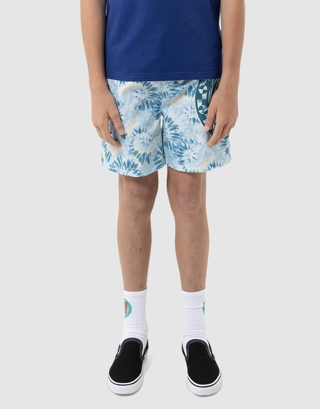 Santa Cruz - Malba Crash Dot Mono Boardshorts - Teens