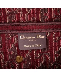 Pre-Loved by Azura Reborn - Pre-Loved Oblique Embroidered Velvet Saddle Bag