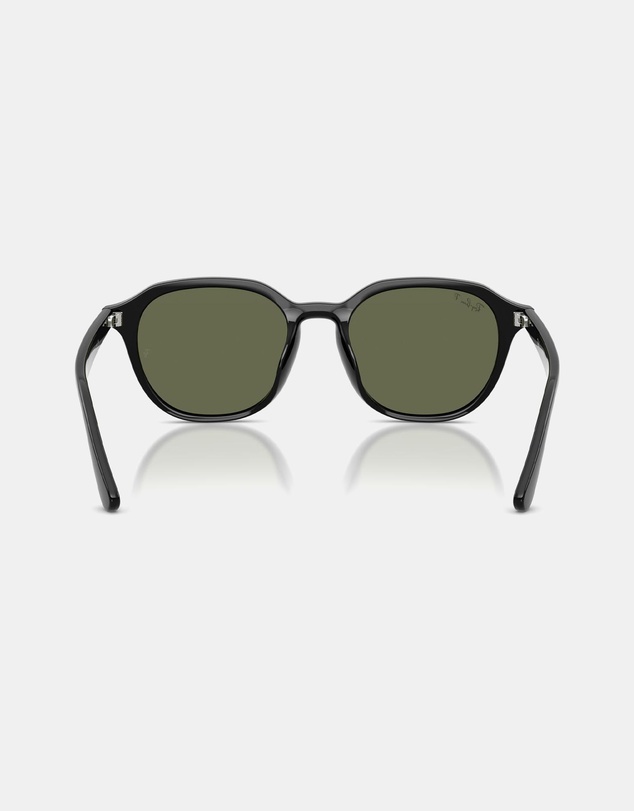 Ray-Ban - RB4459D