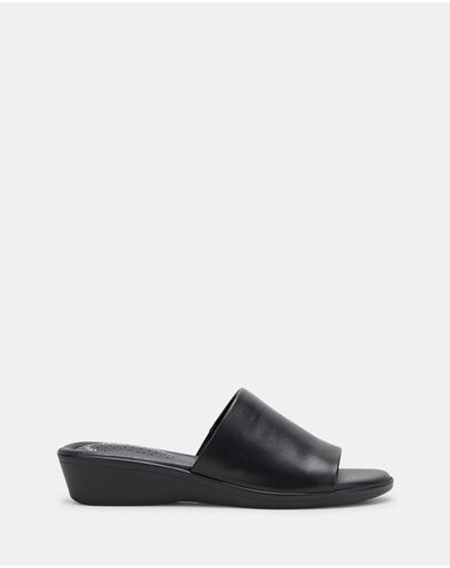 Black/Black