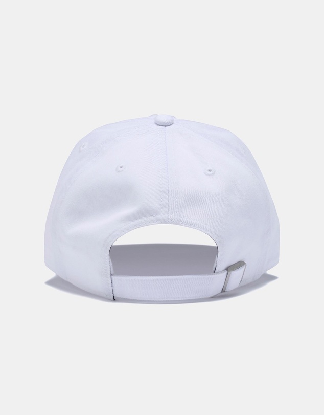 47 - Clean Up Icons Labrador Cap