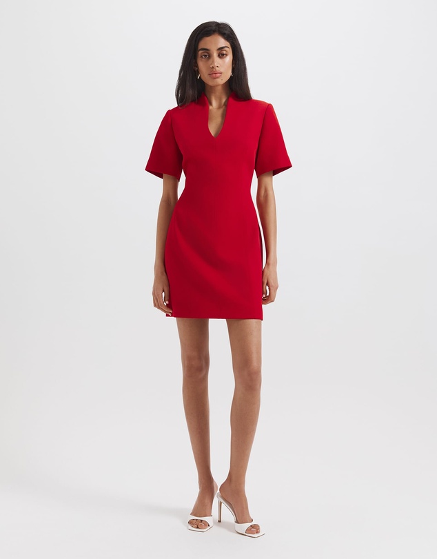 SABA - Dharma Short Sleeve Mini Dress