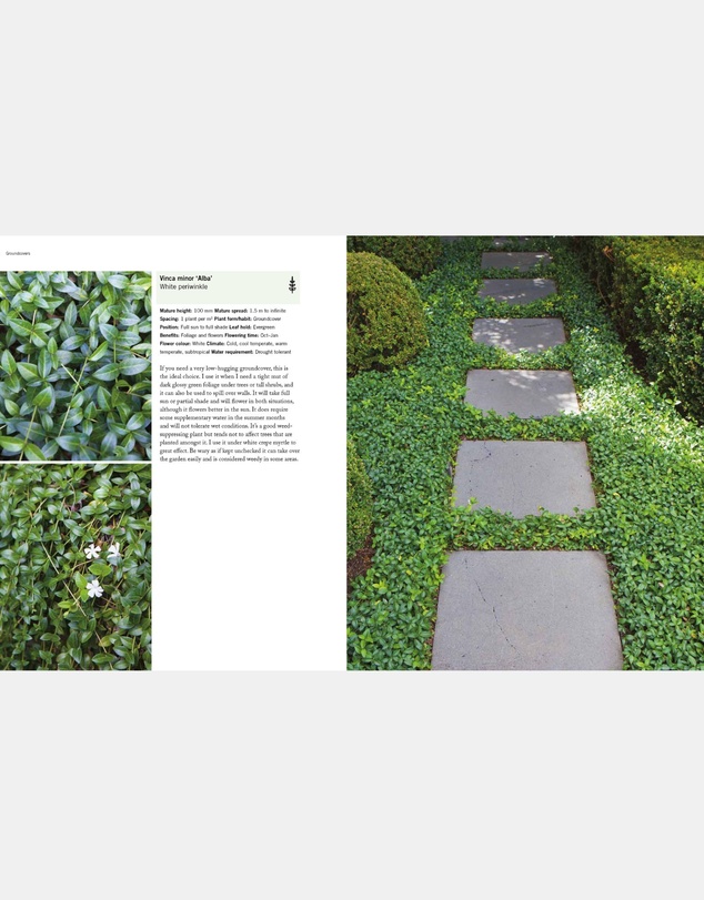 Brumby Sunstate - Paul Bangay's Guide to Plants