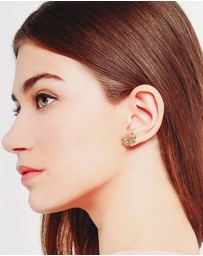ALDO - Galloura Earrings