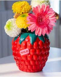DOIY - Farmers Market Vase Raspberry