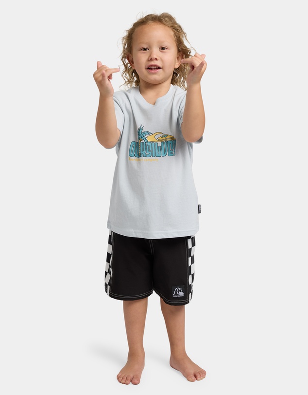 Quiksilver - Boys 2 to 7 Palm Time T-Shirt