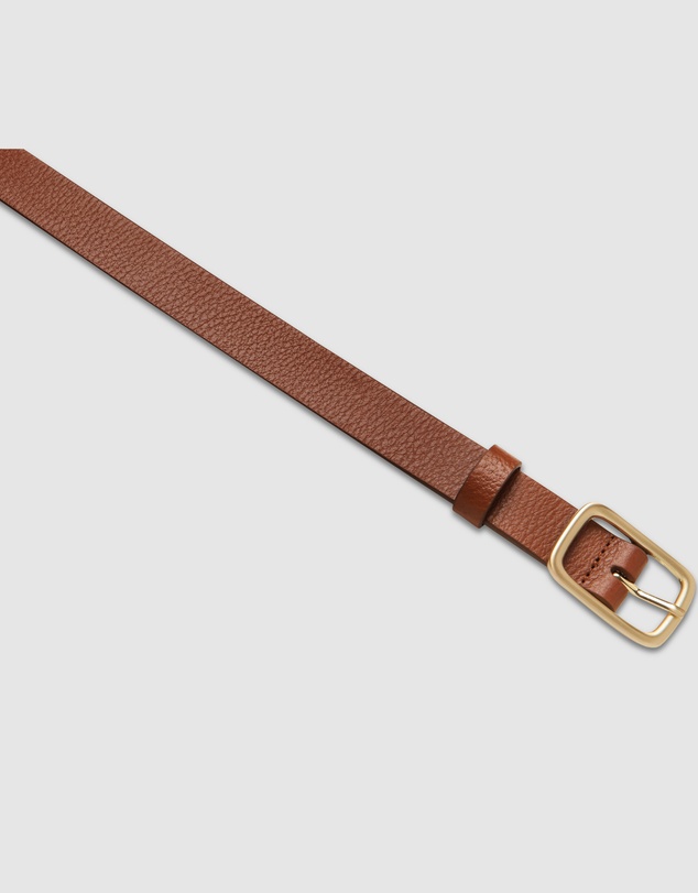 Status Anxiety - Nobody's Fault Belt