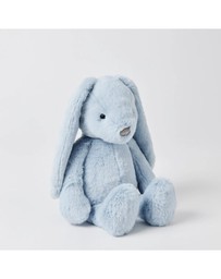 Jiggle and Giggle - Blue Bunny Medium