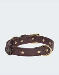 adidas Originals - adidas Pet Collar
