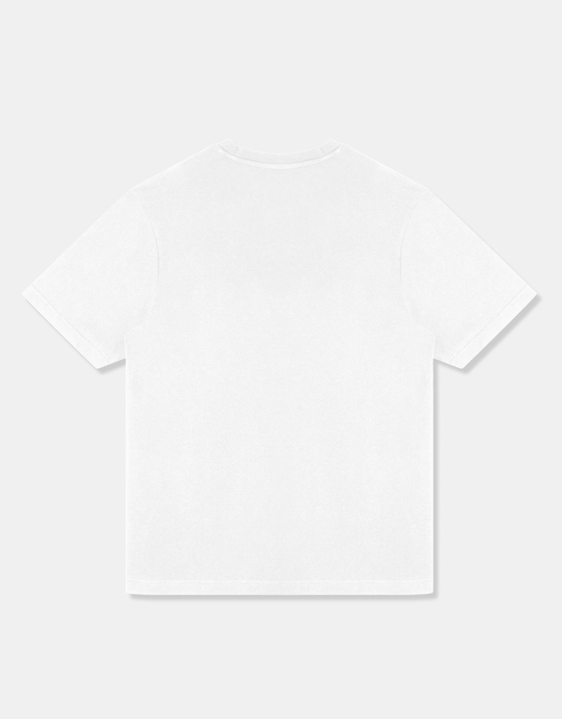 Stan Ray - Passion SS Tee