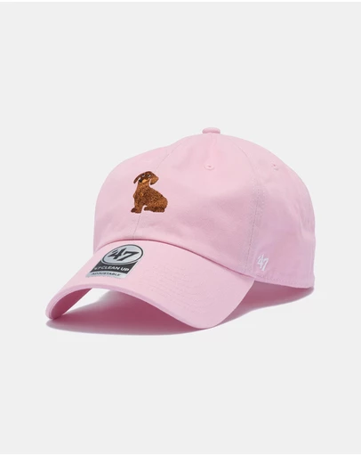 47 - Clean Up Icons Dachun Cap