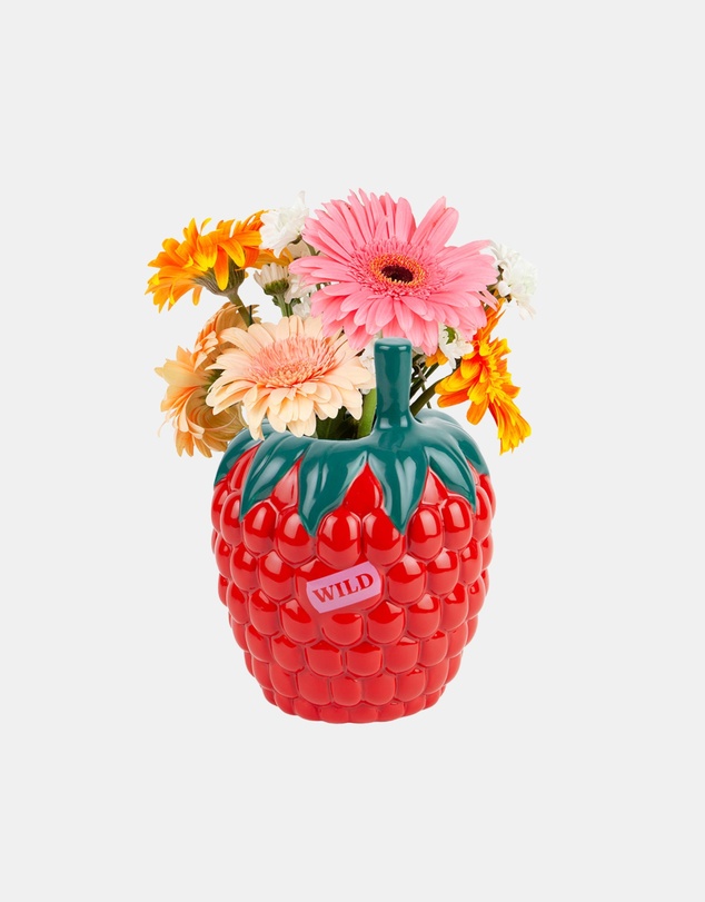 DOIY - Farmers Market Vase Raspberry
