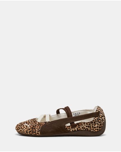 Wild Wns, Chocolate & Warm White