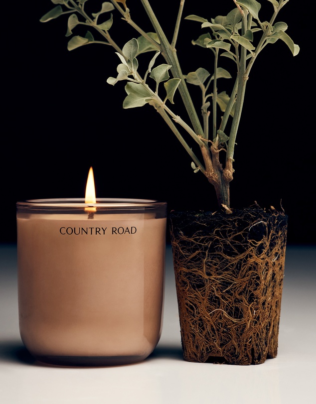 Country Road - Australian Made Saltbush & Hinoki Wood Candle 240g
