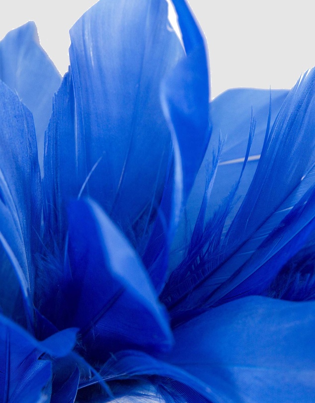 Max Alexander - Modern Royal Blue Racing Fascinator