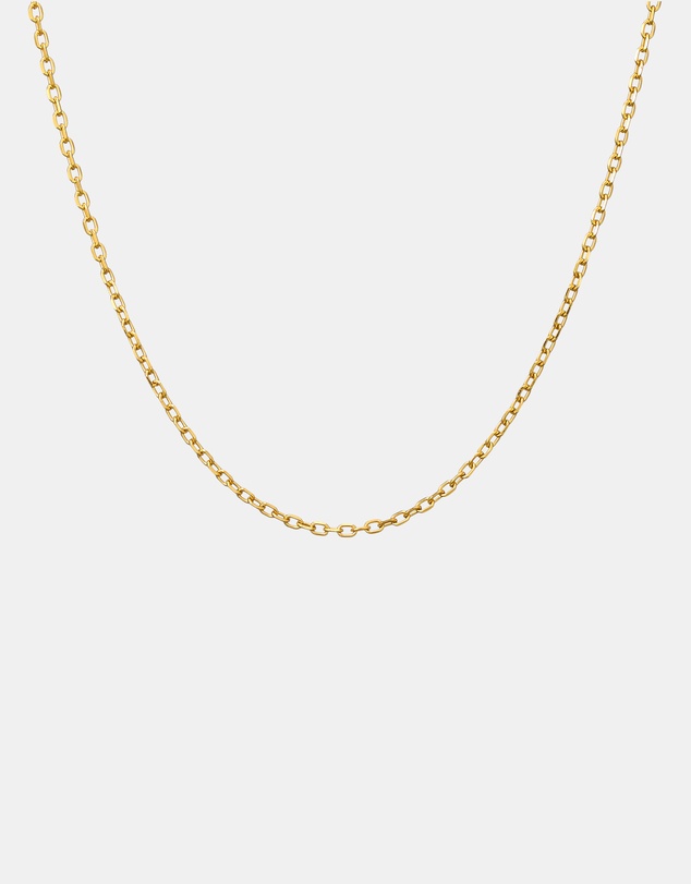 Zoe Olivia - 14K Gold Vermeil Belcher Chain Necklace
