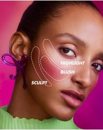 MAKE UP FOR EVER - Artist Face Powders - Blush