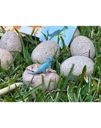 Wonderstuff - Dig & Discover Dinosaur Eggs