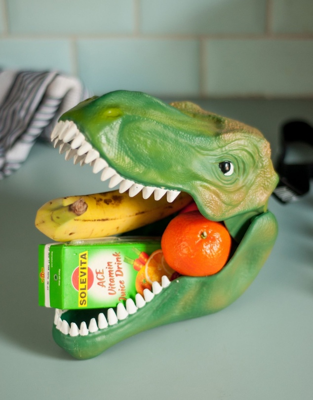 Suck UK - Dino Case