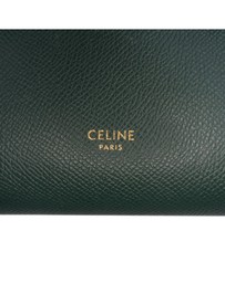 Pre-Loved by Azura Reborn - Pre-Loved Pico Grained Calfskin Belt Bag