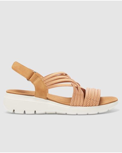 TAN MULTI