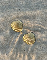 Zoe Olivia - Waterproof Textured Shell Stud Earrings