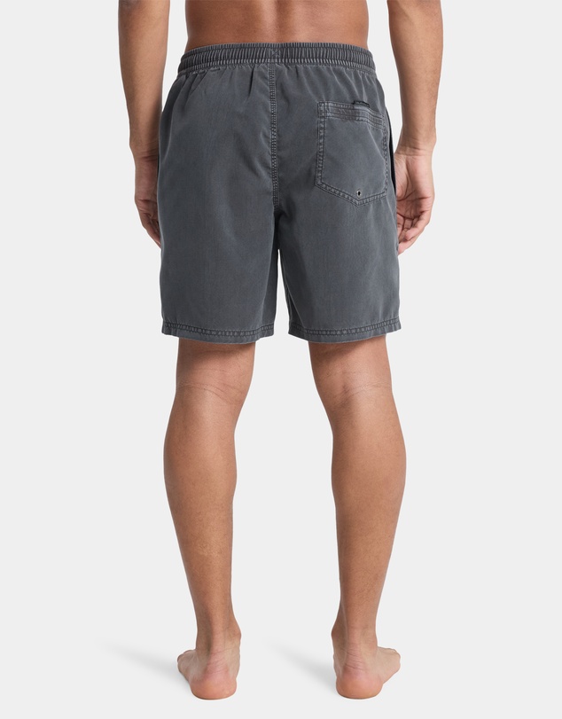 Quiksilver - Mens Everyday Surfwash Volley 17