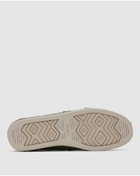 TOMS - Alpargata Classic - Men's