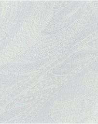 yd. - Patrick Paisley 5 Cm Width Tie