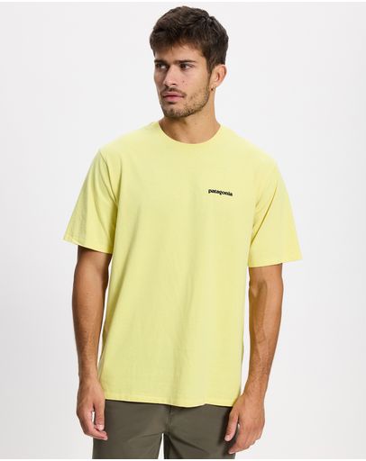 P-6 Outline: Lemon Zest