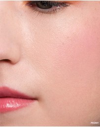 Bobbi Brown - Pot Rouge Velvet Matte