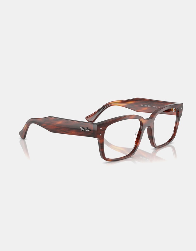 Ray-Ban Optical - Evolution