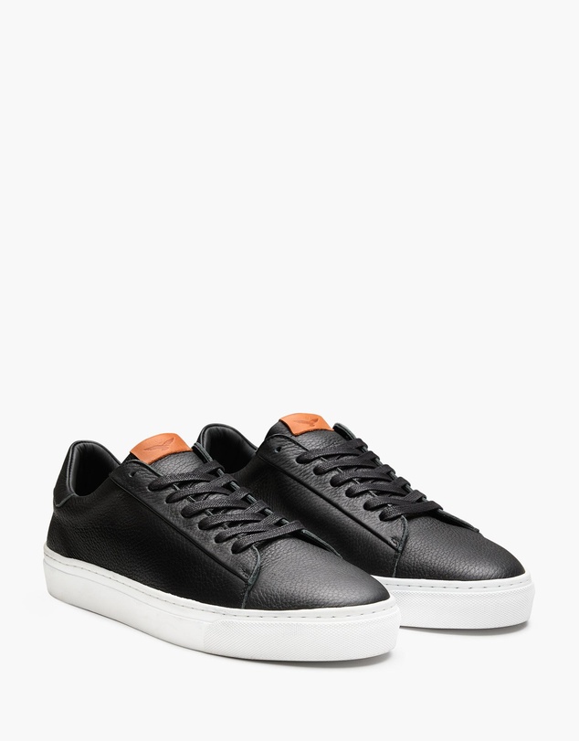 Aquila - Deco 2.0 Sneakers