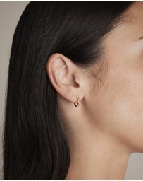 MIMCO - Opalescent Hoop Earrings