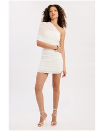 Bardot - Celia Mesh Mini Dress