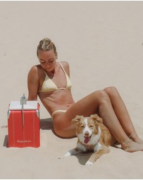 Napoleon Goods - Mini Cooler