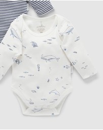 Purebaby - Easy Neck L/S Bodysuit 2 pack-Babies