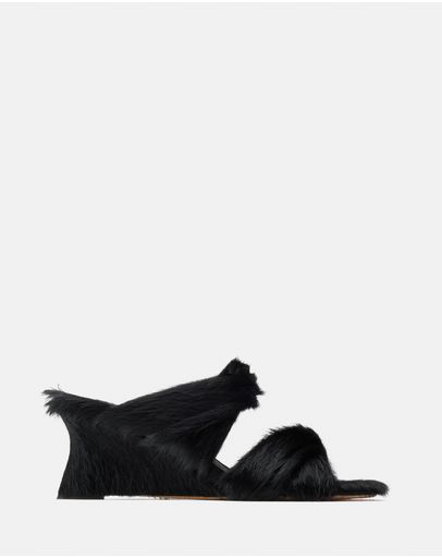Black Pony