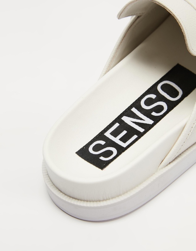 Senso - Zayn I