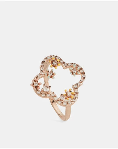 ALDO - Evellyn Ring