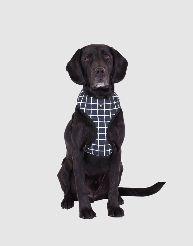 Mog & Bone - Neoprene Dog Harness - Navy Check Print