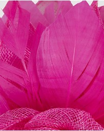 Max Alexander - Modern Fuchsia Racing Fascinator