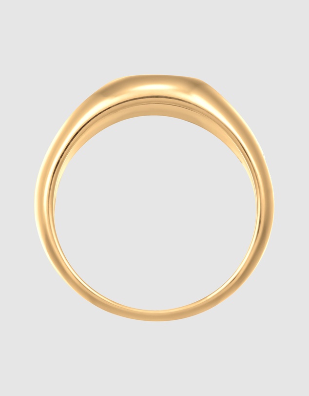 Kuzzoi - ICONIC EXCLUSIVE - Enamel Signet Ring in Gold-Plated 925 Sterling Silver