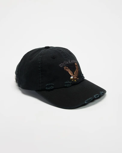 Thrills - Seen and Heard Six Panel Cap - ICONIC EXCLUSIVE