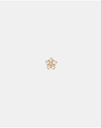 Daniel Wellington - Micro Earring Crystal Star Stud